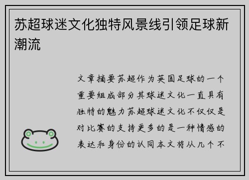 苏超球迷文化独特风景线引领足球新潮流